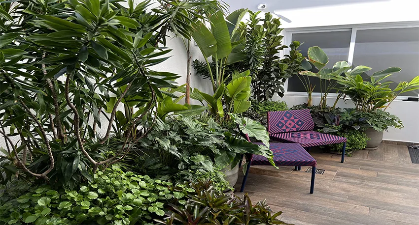 Clínica Dr. Nestor Bertin